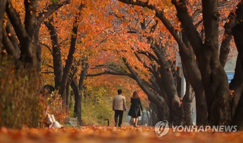 '가을아 거기 서라…단풍맛 좀 보자' 전국 유명산 북적