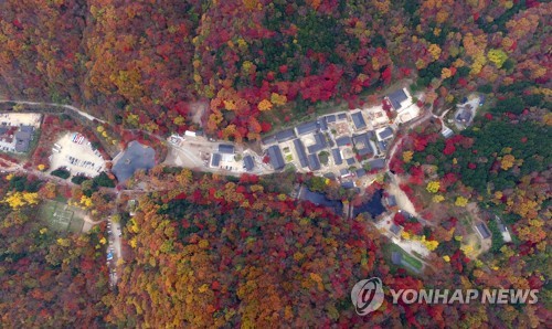 '가을아 거기 서라…단풍맛 좀 보자' 전국 유명산 북적