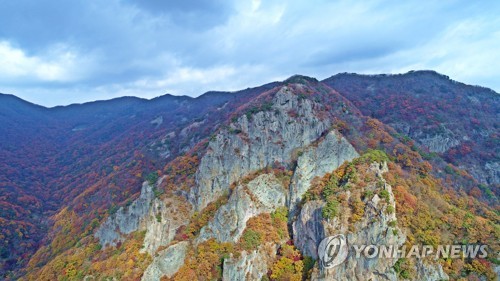 '가을아 거기 서라…단풍맛 좀 보자' 전국 유명산 북적