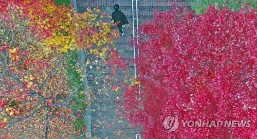 경북 동해안 오전 한때 비…내륙에 짙은 안개 '주의'