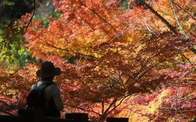  낮엔 '포근'…일교차 큰 가을날씨