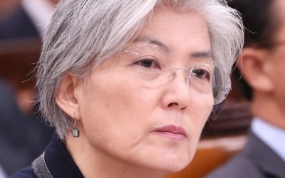 강경화 "북미고위급회담 연기 북측 제안 … 서로 분주하니 미루자고 한 것"