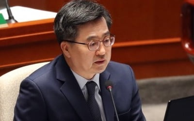 김동연 "한국경제 스태그플레이션 아냐…규제개혁은 필요"