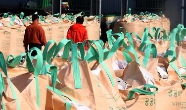 여름 폭염에 벼 품질·생산량 하락…농민 '주름살'