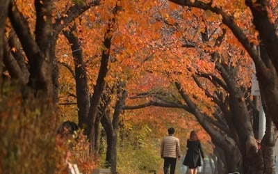 '가을아 거기 서라…단풍맛 좀 보자' 전국 유명산 북적