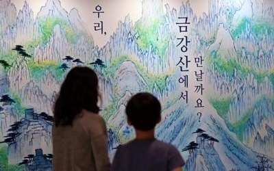 '시작 20년·중단 10년'…교류 상징 금강산관광의 '우여곡절'