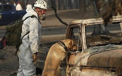 美 산불 실종자 여전히 870명…폭우에 시신 떠내려갈까 우려