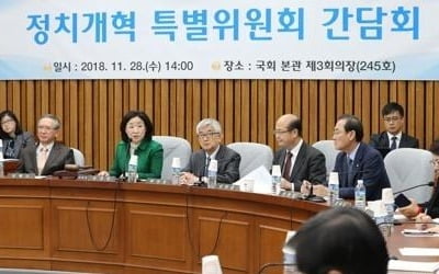 국회 정개특위 자문위원들 "비례성 확대하고 의원 수 늘려야"