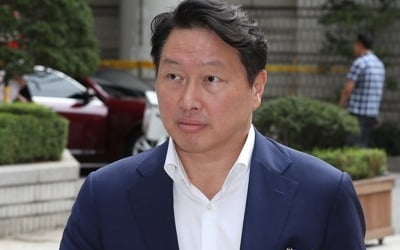 '기자가 최태원 동거인 소개' 허위댓글 주부 징역형 확정