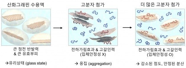 고분자 농도에 따른 산화 그래핀의 유효부피와 분산 모식도. 