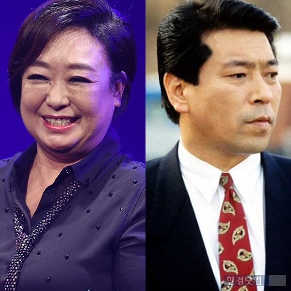 혜은이, 김동현/사진=한경DB, '우리 식구 열다섯' 스틸컷