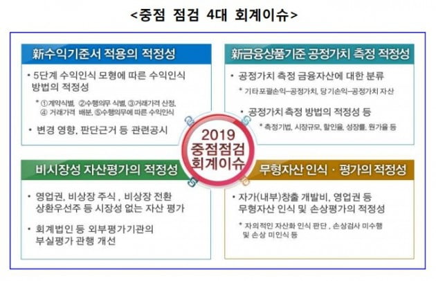 금감원, 내년 외부 자산평가·개발비 인식 등 회계처리 집중감리