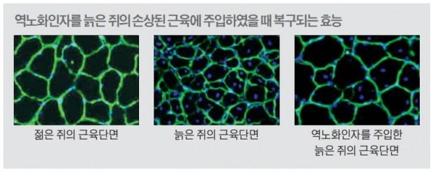 영화 '벤자민 버튼' 처럼…노화 막는 연구에 빠진 글로벌 IT기업들