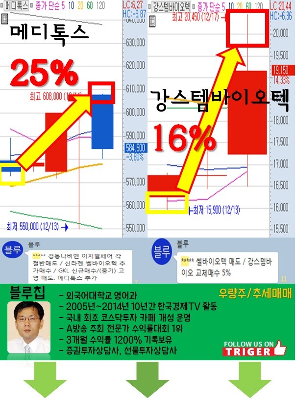 지금 무조건 사야 될 테마주는?