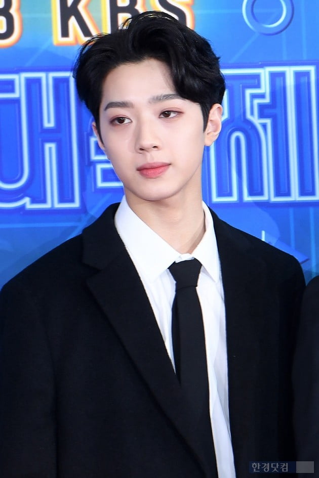 [포토] 워너원 라이관린, '귀공자 비주얼'(2018 KBS 가요대축제)