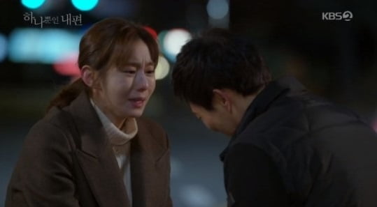 하나뿐인 내편 (사진=방송 영상 캡처)