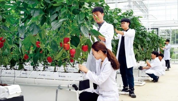 연암대학교, 국내 첫 국제 규격 '반려동물 훈련센터'