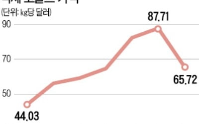 車업체, 배터리 직접 생산…코발트값도 변수