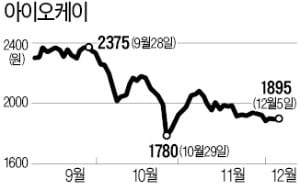 아이오케이, 초록뱀 CB 투자 짭짤하네