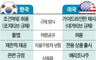 한국선 자율주행하면 도로교통법상 불법