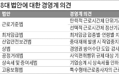 "탄력근로 최장 1년으로…최저임금 차등적용해야"