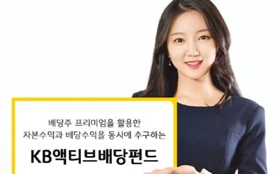 우량 고배당주 투자…자본·배당수익 함께 추구