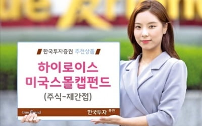 저평가 美 소형주에 투자…감세정책 수혜 기대