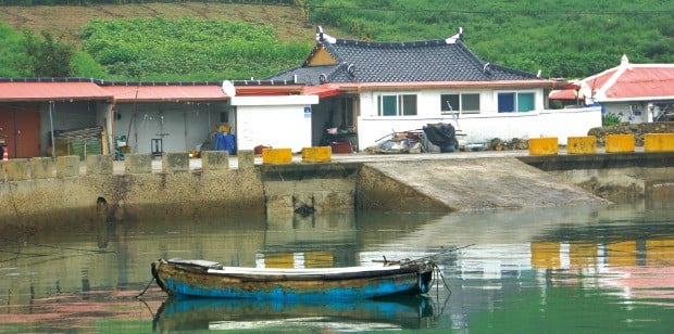 바다와 맞닿아 있는 대마도 섬마을. 해조류 양식이 잘돼 소득은 넉넉한 편이다. 