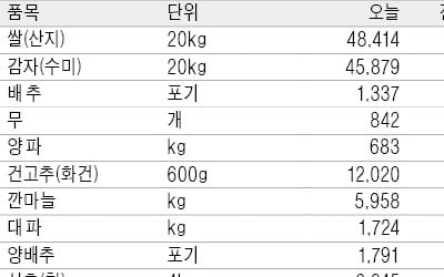 제주·전라도서 겨울무 출하 늘어…1개에 842원, 평년보다 15% 낮아