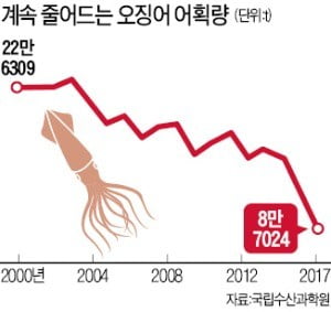 짬뽕서도 '실종'…한 마리 8000원 된 '金징어'
