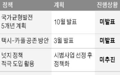 차일피일 미루다…'공수표'로 끝난 경제정책들