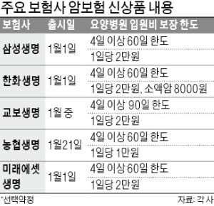 새해 '요양병원비 보장' 암보험 일제히 나온다