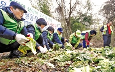 배고픈 야생동물을 위해