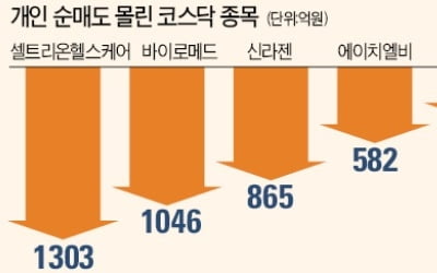 "양도세 피하자"…2兆 털어낸 개인 '큰손'