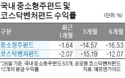 중소형株 키운다더니…코스닥벤처펀드의 눈물