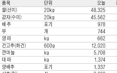 딸기에 밀린 겨울 대표 과일 감귤, 10kg에 1만원대…평년보다 40%↓