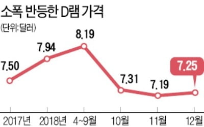 D램 가격 '깜짝 반등'했지만…내년 전망 여전히 '흐림'