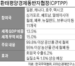 세계 2위 FTA 발효…韓 '통상 외톨이' 되나