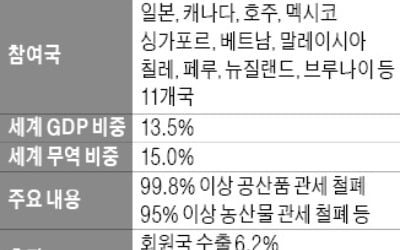 세계 2위 FTA 발효…韓 '통상 외톨이' 되나