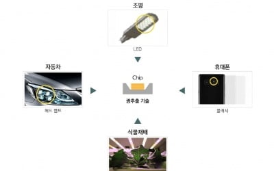 서울반도체, 독일에서 대만 LED 업체 대상으로 승소…판매 금지와 함께 제품 회수 명령까지 받아내