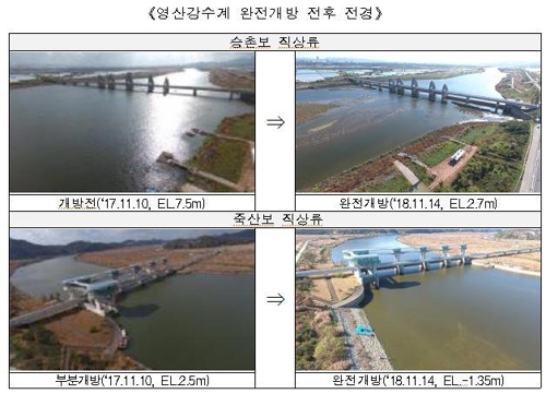 영산강 보 2개 완전개방했더니…축구장 23개 넓이 모래톱 형성