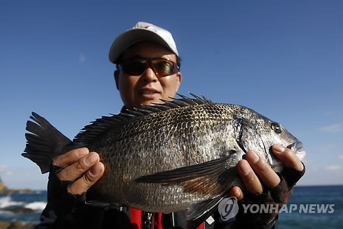 215년 만에 재현한 '감성돔 식해' 맛은…"막걸리와 어울려"