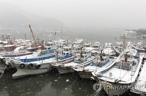 전북 대설주의보 오전 7시 해제…새만금에 13㎝ 눈