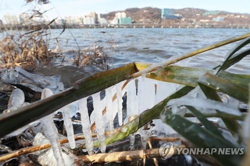 "첫 한파 세네"…최저 영하 20.4도에 칼바람까지 '전국 꽁꽁'