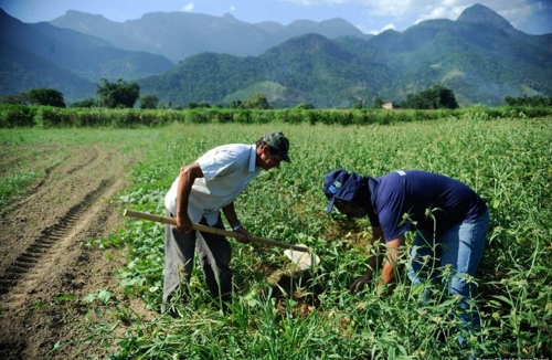'곡물창고' 브라질, 올해·내년 농산물 수확량 감소 전망