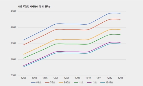 "치킨 2만원 시대 승자는 없다"…닭고기·배달비 모두 올라 한숨