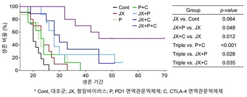 면역 항암제 내성 극복 길 열렸다…새 치료전략 제시