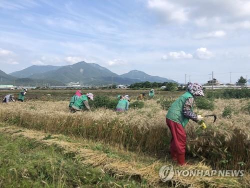 '유해성 논란' 수상 태양광 사업 정비…주민 참여 높인다