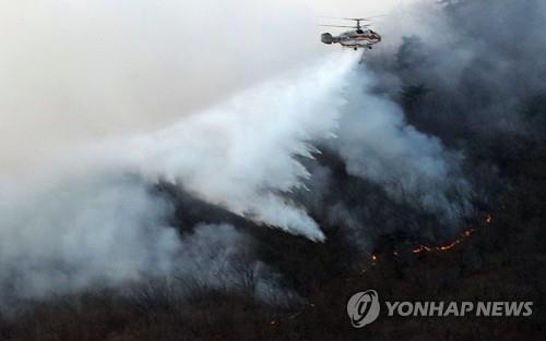 소원 대신 산불 부르는 '풍등'…최근 산불 원인으로 떠올라