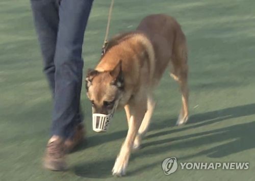 만14세 넘어야 맹견 동반 외출가능…매년 3시간 의무교육